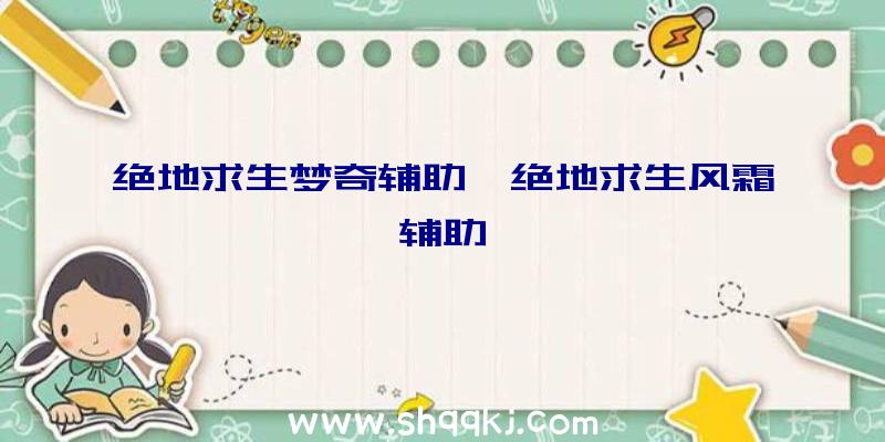 绝地求生梦奇辅助、绝地求生风霜辅助