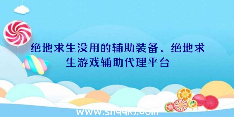 绝地求生没用的辅助装备、绝地求生游戏辅助代理平台