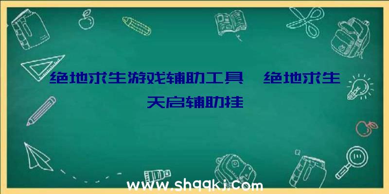 绝地求生游戏辅助工具、绝地求生天启辅助挂