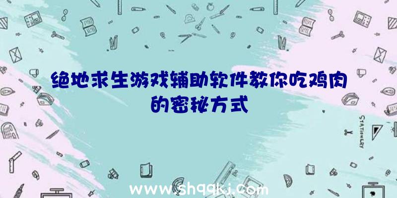 绝地求生游戏辅助软件教你吃鸡肉的密秘方式