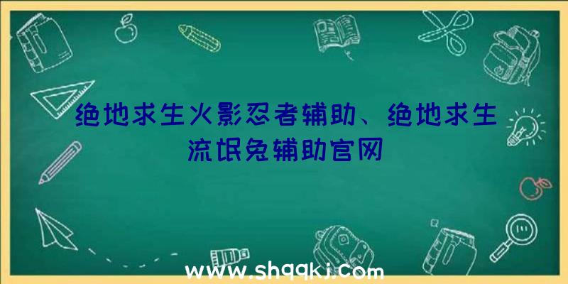 绝地求生火影忍者辅助、绝地求生流氓兔辅助官网