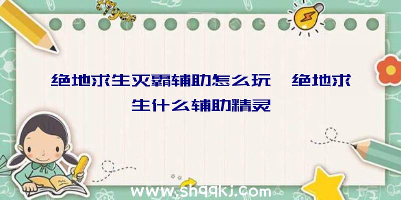 绝地求生灭霸辅助怎么玩、绝地求生什么辅助精灵