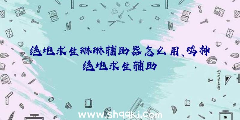 绝地求生琳琳辅助器怎么用、鸡神绝地求生辅助