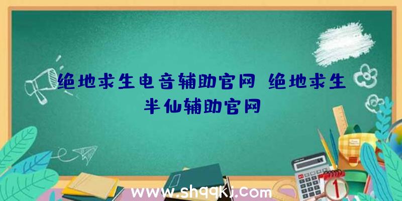 绝地求生电音辅助官网、绝地求生半仙辅助官网