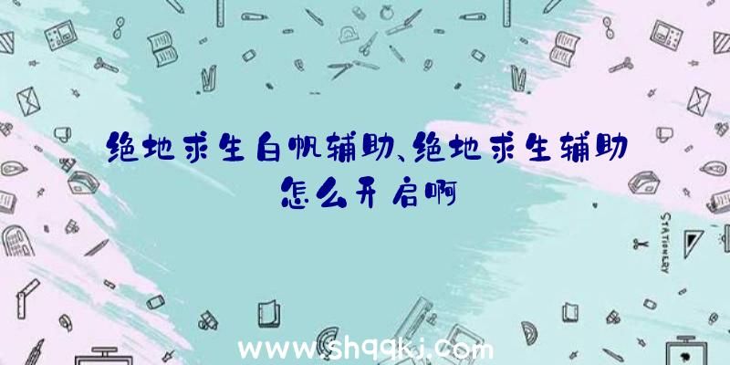 绝地求生白帆辅助、绝地求生辅助怎么开启啊