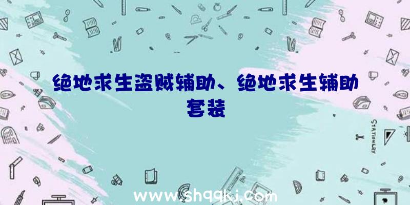 绝地求生盗贼辅助、绝地求生辅助套装