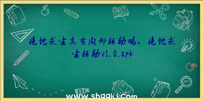 绝地求生真有内部辅助吗、绝地求生辅助v1.0.apk