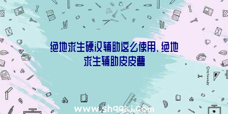 绝地求生硬汉辅助这么使用、绝地求生辅助皮皮曹