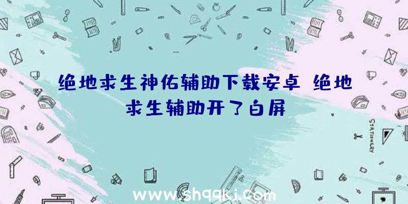 绝地求生神佑辅助下载安卓、绝地求生辅助开了白屏