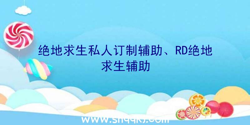 绝地求生私人订制辅助、RD绝地求生辅助