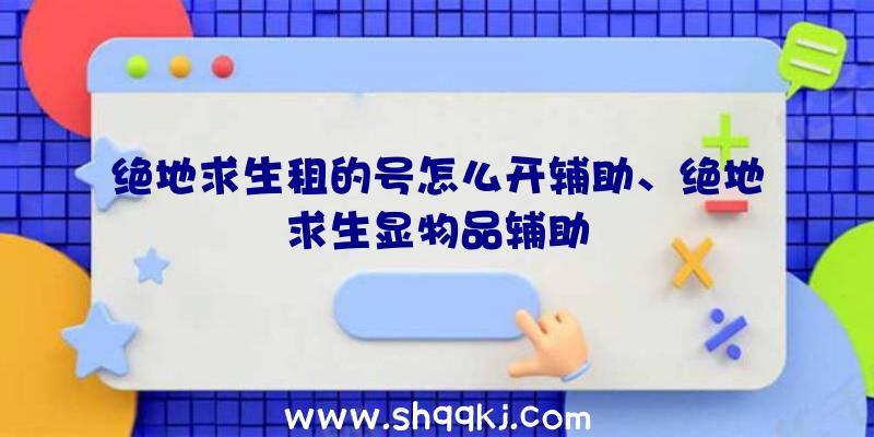 绝地求生租的号怎么开辅助、绝地求生显物品辅助