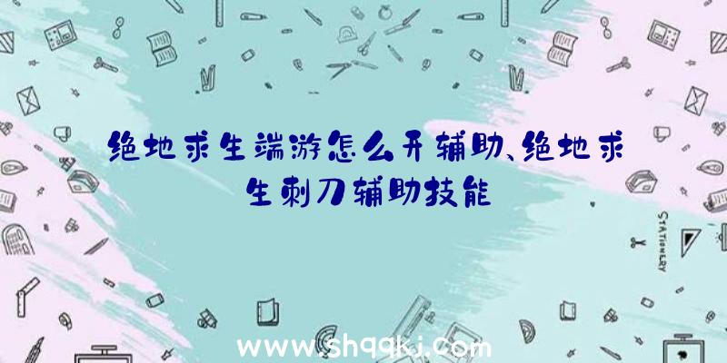 绝地求生端游怎么开辅助、绝地求生刺刀辅助技能