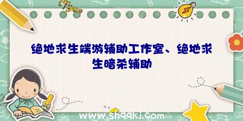 绝地求生端游辅助工作室、绝地求生暗杀辅助