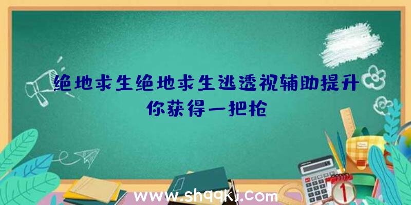 绝地求生绝地求生逃透视辅助提升你获得一把枪