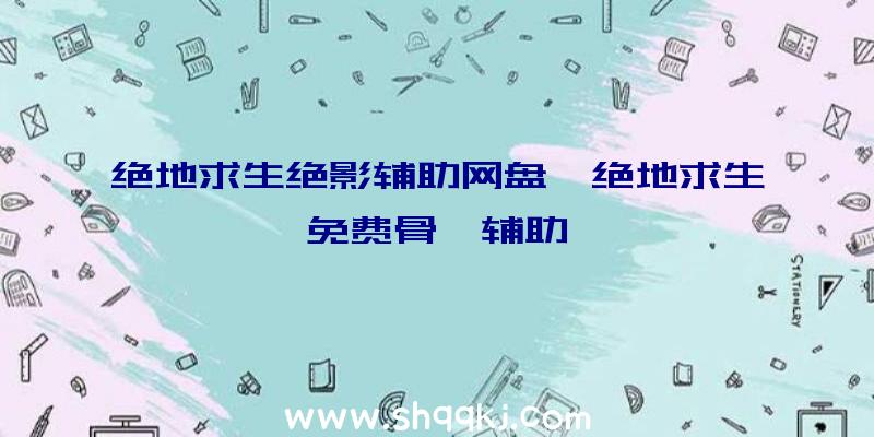 绝地求生绝影辅助网盘、绝地求生免费骨骼辅助