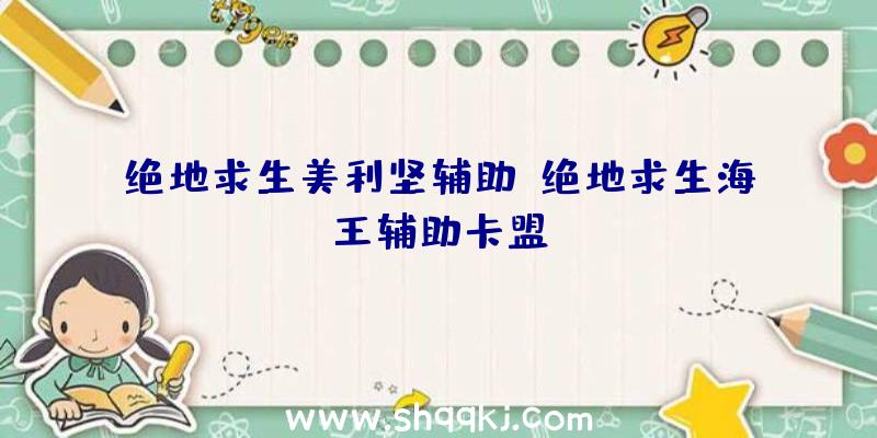 绝地求生美利坚辅助、绝地求生海王辅助卡盟