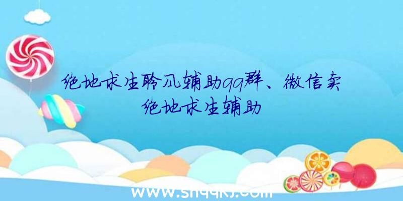 绝地求生聆风辅助qq群、微信卖绝地求生辅助