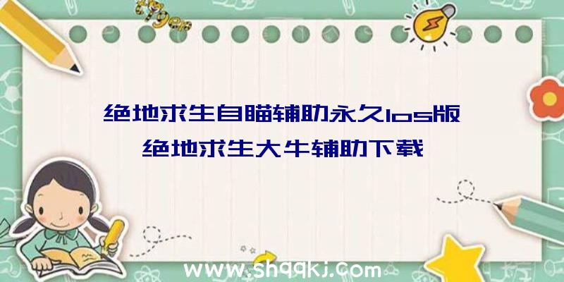 绝地求生自瞄辅助永久Ios版、绝地求生大牛辅助下载