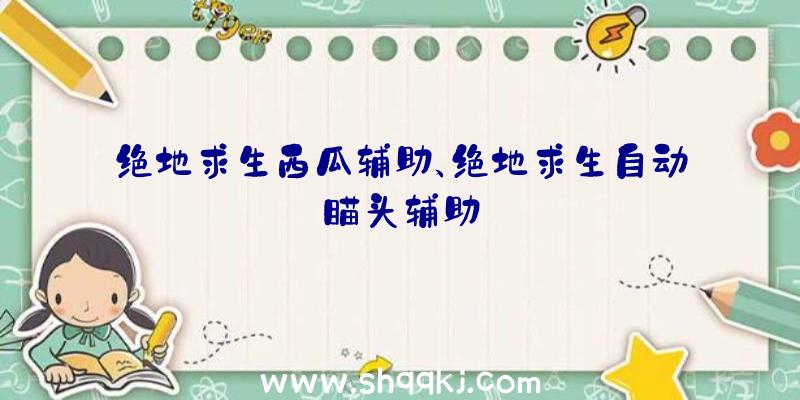 绝地求生西瓜辅助、绝地求生自动瞄头辅助