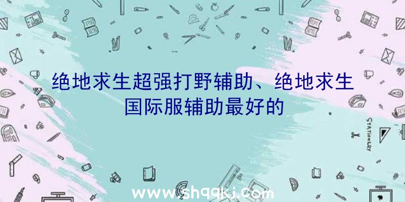 绝地求生超强打野辅助、绝地求生国际服辅助最好的