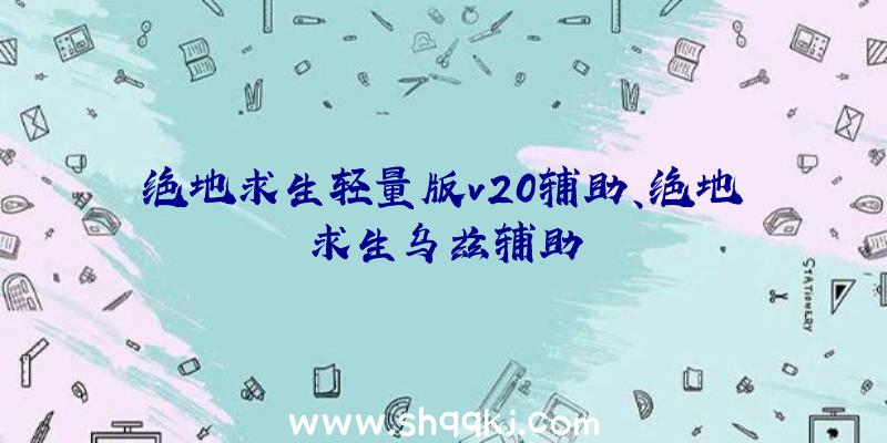 绝地求生轻量版v20辅助、绝地求生乌兹辅助