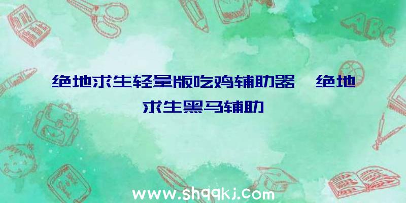 绝地求生轻量版吃鸡辅助器、绝地求生黑马辅助