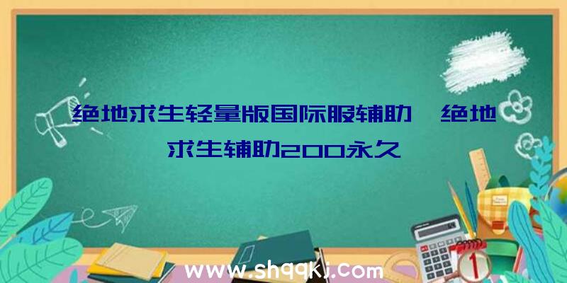 绝地求生轻量版国际服辅助、绝地求生辅助200永久