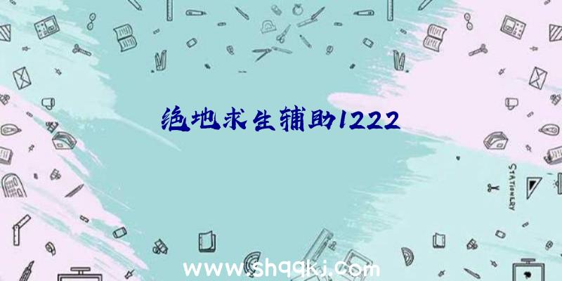 绝地求生辅助1222