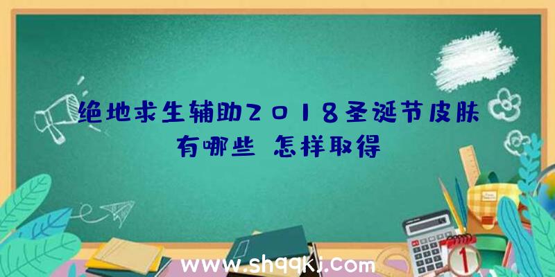 绝地求生辅助2018圣诞节皮肤有哪些？怎样取得？