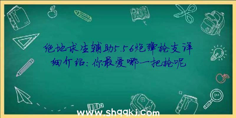 绝地求生辅助5.56炮弹枪支详细介绍:你最爱哪一把枪呢