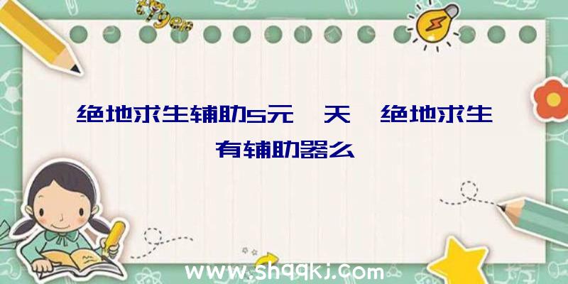 绝地求生辅助5元一天、绝地求生有辅助器么