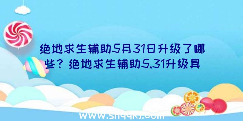 绝地求生辅助5月31日升级了哪些？绝地求生辅助5.31升级具体内容归纳