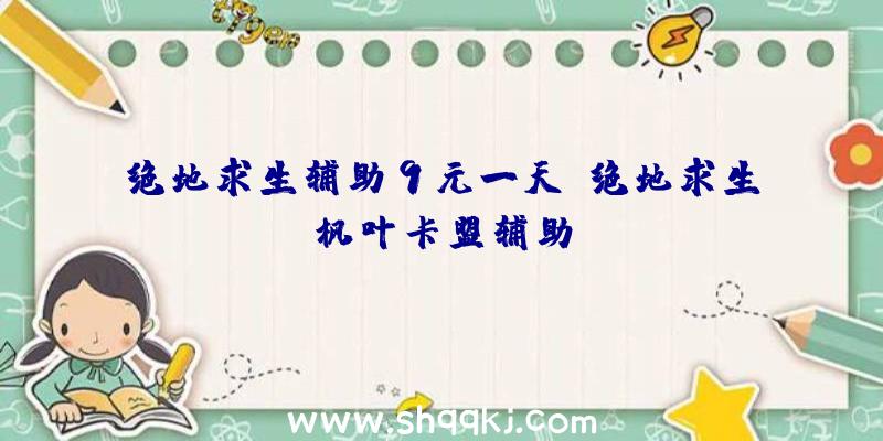 绝地求生辅助9元一天、绝地求生枫叶卡盟辅助