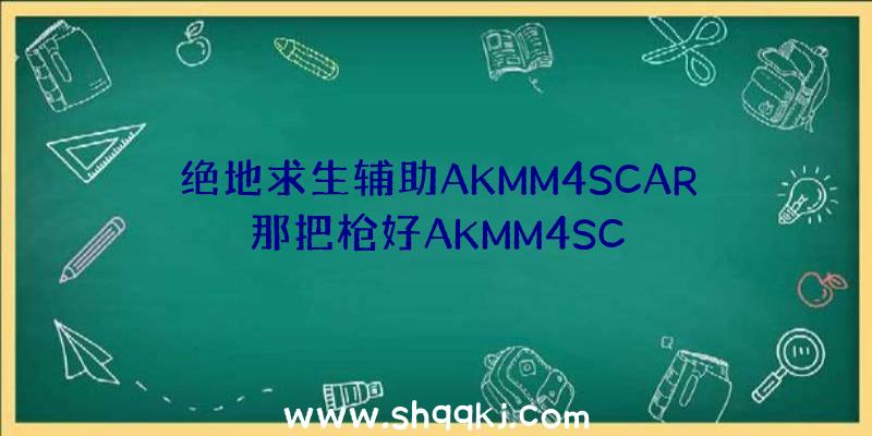 绝地求生辅助AKMM4SCAR那把枪好AKMM4SC