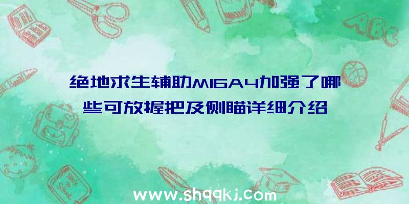 绝地求生辅助M16A4加强了哪些可放握把及侧瞄详细介绍