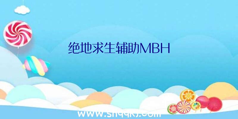 绝地求生辅助MBH