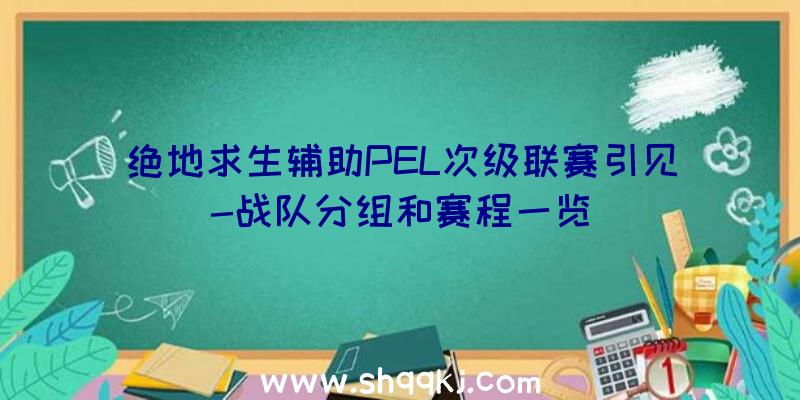 绝地求生辅助PEL次级联赛引见-战队分组和赛程一览