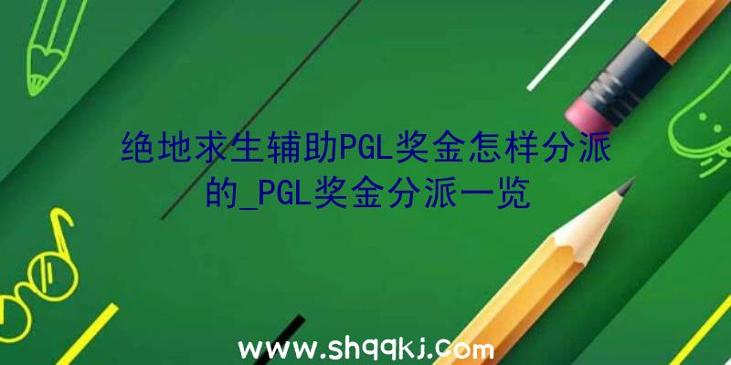 绝地求生辅助PGL奖金怎样分派的_PGL奖金分派一览