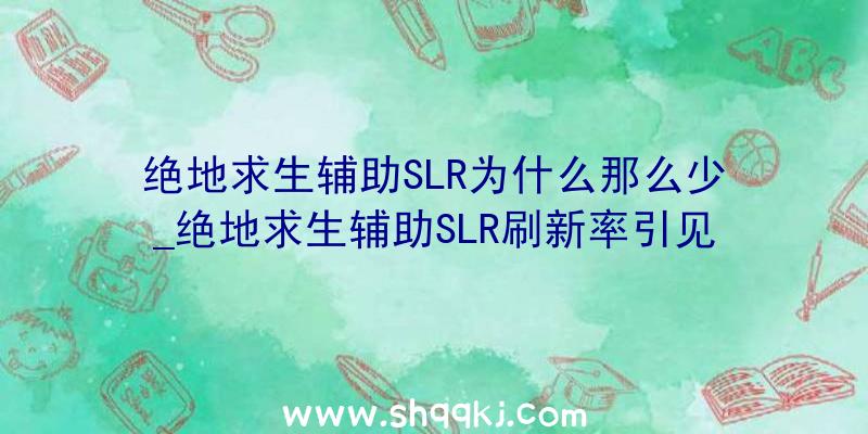 绝地求生辅助SLR为什么那么少_绝地求生辅助SLR刷新率引见