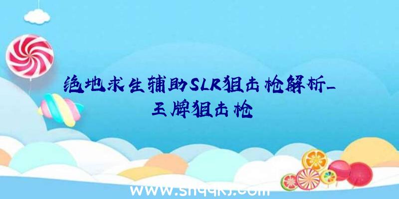 绝地求生辅助SLR狙击枪解析_王牌狙击枪