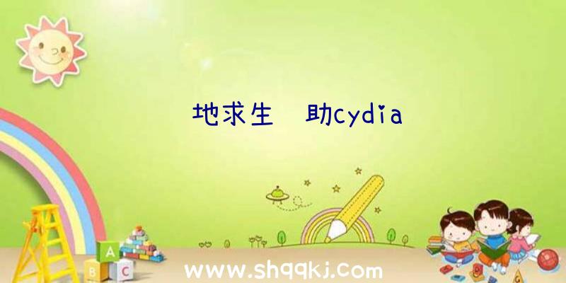 绝地求生辅助cydia