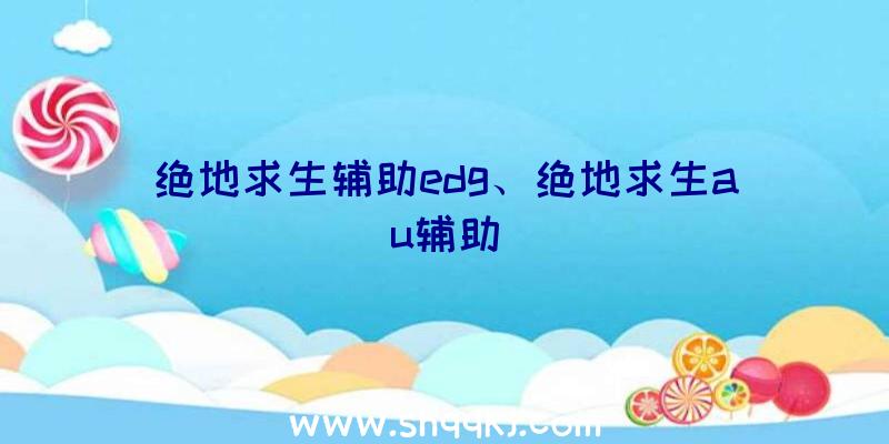 绝地求生辅助edg、绝地求生au辅助