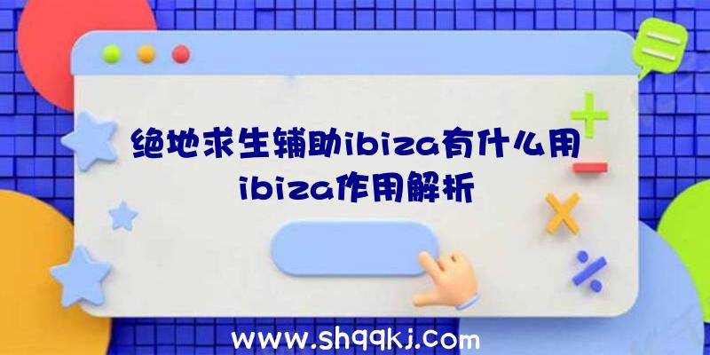 绝地求生辅助ibiza有什么用ibiza作用解析