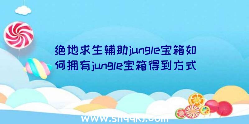 绝地求生辅助jungle宝箱如何拥有jungle宝箱得到方式攻