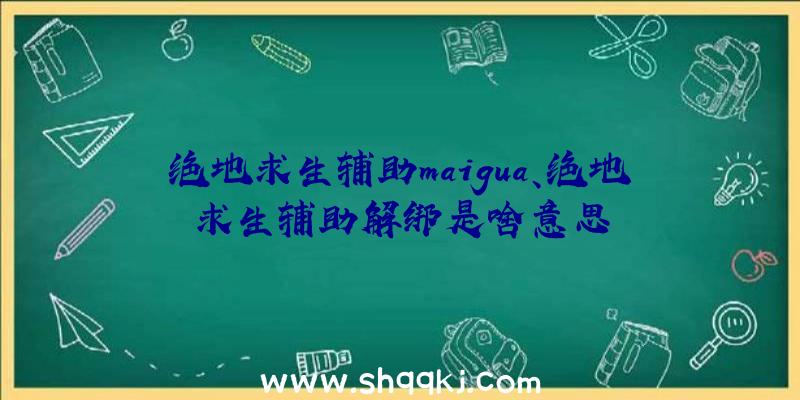 绝地求生辅助maigua、绝地求生辅助解绑是啥意思