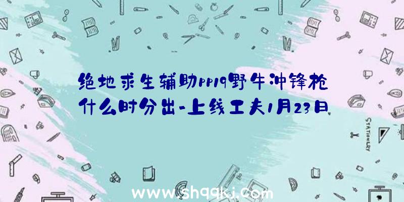 绝地求生辅助pp19野牛冲锋枪什么时分出-上线工夫1月23日