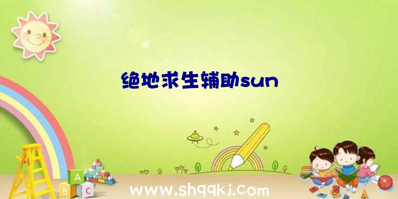 绝地求生辅助sun