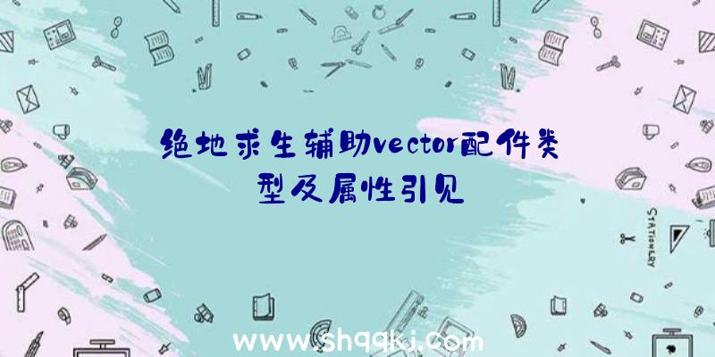 绝地求生辅助vector配件类型及属性引见