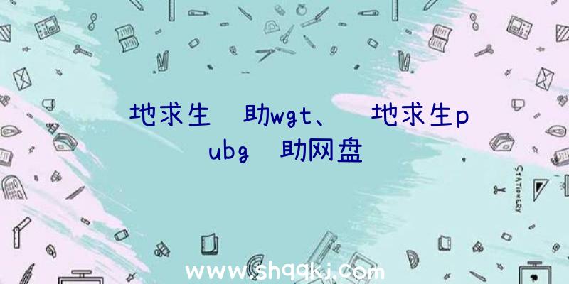 绝地求生辅助wgt、绝地求生pubg辅助网盘