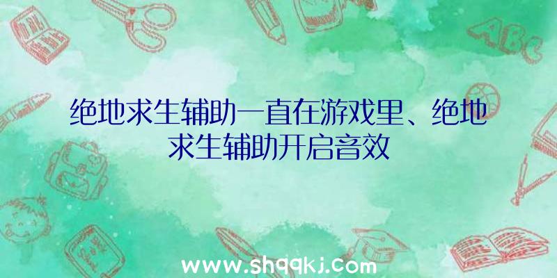 绝地求生辅助一直在游戏里、绝地求生辅助开启音效